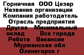 Горничная. ООО Цезар › Название организации ­ Компания-работодатель › Отрасль предприятия ­ Другое › Минимальный оклад ­ 1 - Все города Работа » Вакансии   . Мурманская обл.,Оленегорск г.